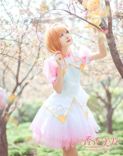 ��˵�̷�ɭϵ���ͱȳ�����Ҫ�� ��������ɭϵ����Ķ̷����ľ�����������