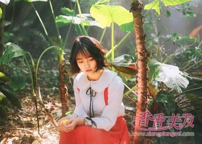 ��˵�̷�ɭϵ���ͱȳ�����Ҫ�� ��������ɭϵ����Ķ̷����ľ�����������