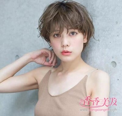 ����¶����˫��¶�����ָ��ÿ� 2019��������¶���̷�������Ÿ���