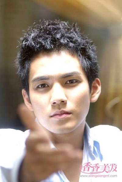 ������ʮһ֦����ѡ������������������ �������������̷�������Ҳ����