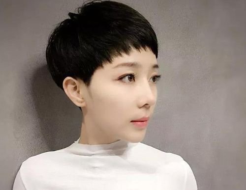 2019���Ħ����ǿ����Ϯ ר�η���������Ħ�������ʺ϶̷�