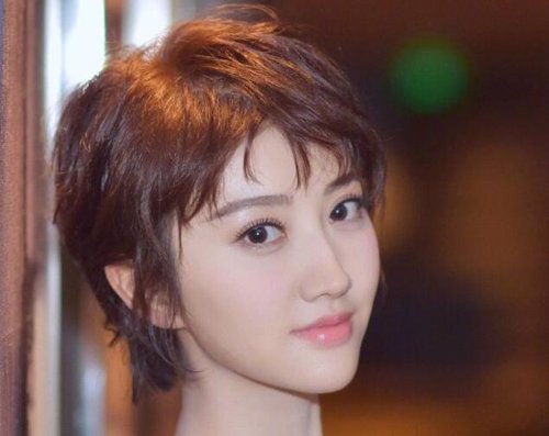 2019���Ħ����ǿ����Ϯ ר�η���������Ħ�������ʺ϶̷�