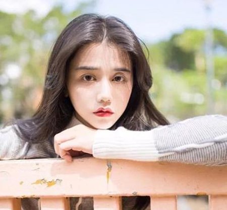 ն�л��ÿ����� 2019���񳤷���������������