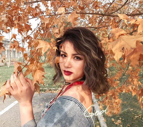 �ļ��������䲻���＾���� ����＾ͷ�������̲�ʱ��