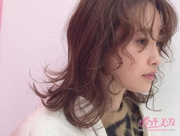 ѡ�����������Ǳ���� 2019�������������������������