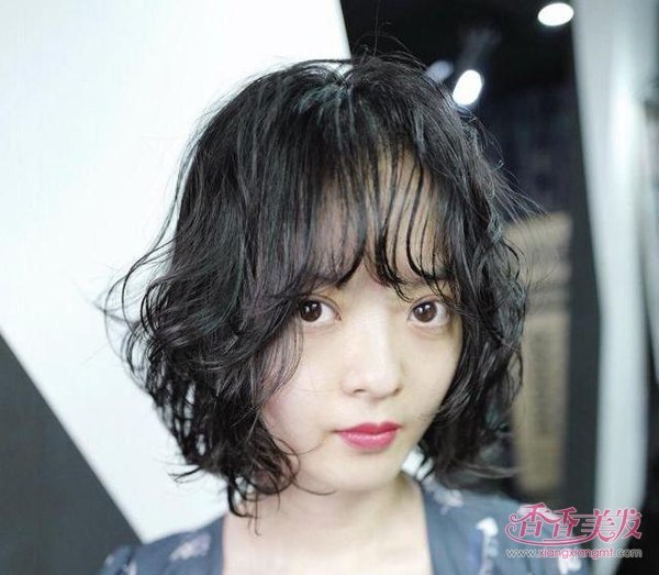 ѡ�����������Ǳ���� 2019�������������������������