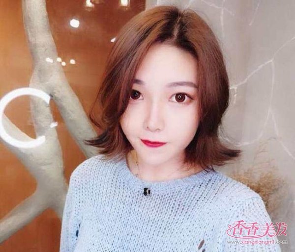 ѡ�����������Ǳ���� 2019�������������������������