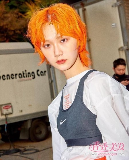 ��ɫȾ������������³� ��ͷ�ʳ��ߵ���ɫȾ���⼸�����