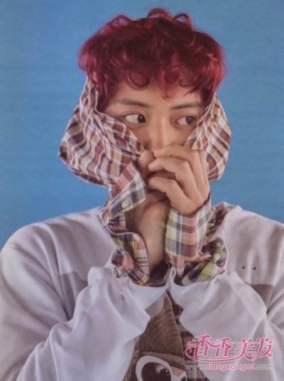 ƽͷ������ͷ���ָ��ʺ�ѧ�� ʮ������ѧ��˧������������