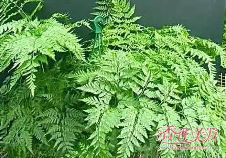 �ѷ����ء�ͷ��ϡ����ô�� ��ͷ��һ�㶼�����⼸��һ����ѧ��