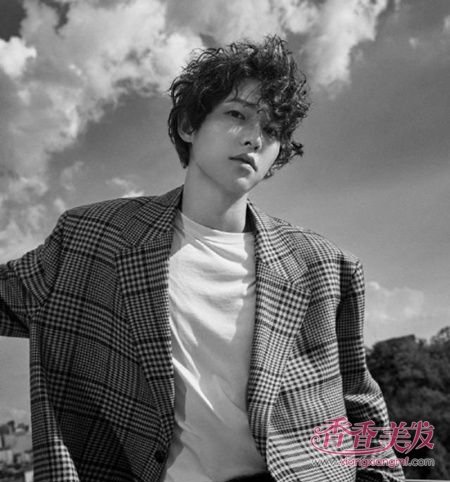 �������ϻ���ë�������� 2019������ë�������̷�����ͼƬ