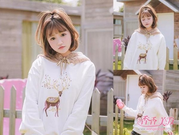 ʲô������ʲô�������н����� 2019�����е�Բ���̷��⼸��ܲ���