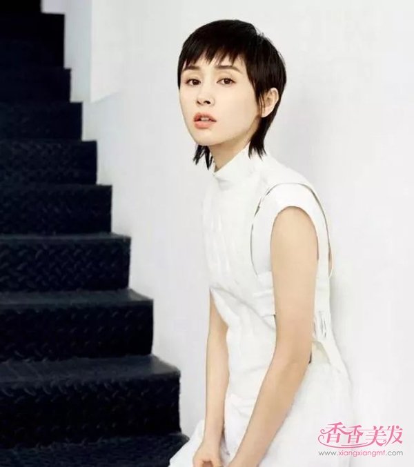 ��Ⱦ���̿ɲ��Ƿ������� 2019���º�ɫ��ֱ�����������������¸߶�