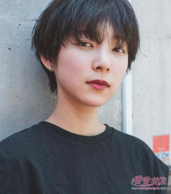 ��Ⱦ���̿ɲ��Ƿ������� 2019���º�ɫ��ֱ�����������������¸߶�