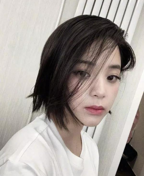 ֪��֪��2019����� �紺������֪��������̷�ǧ������