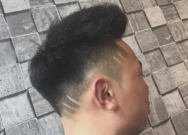 ����������������� 2019�����е�����������̷���ͼƬ