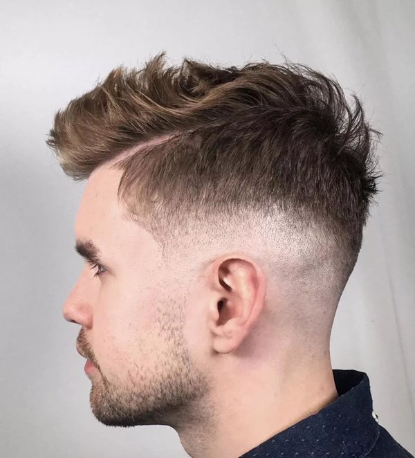 ����������������� 2019�����е�����������̷���ͼƬ