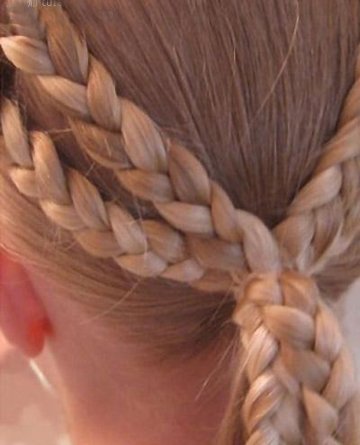 ������Ҫ�ı������α෢�̳����� СŮ�����ķ��Ͳ���ͼ��һѧ�ͻ�