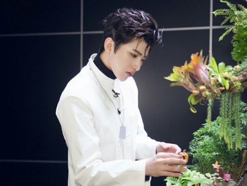 �����汳ͷ���������� 2019��������ͷ���ɱ�����