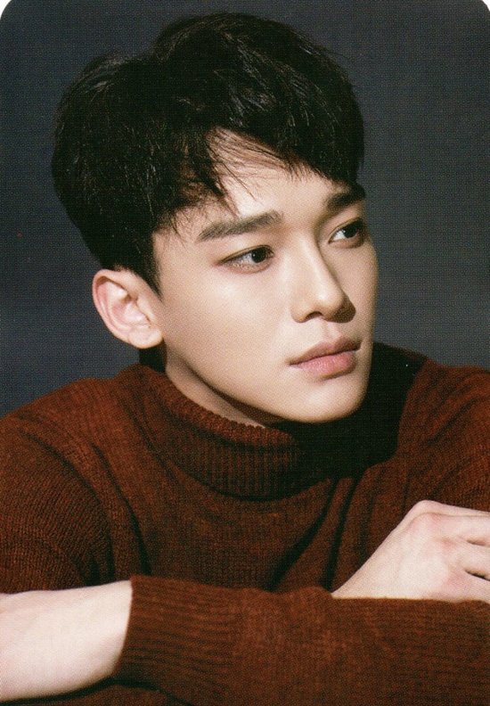 ���������ʺ�ʲô���� 2019С����������ѡ�̷�����˧