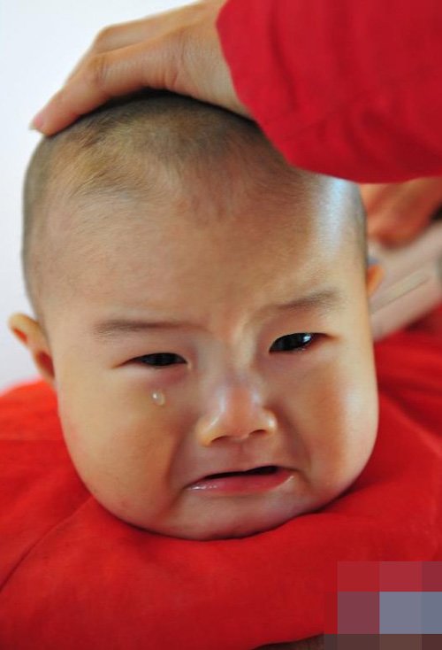 ��������������������ͷ��ȫ ������ѿ�Ķ�ͷ���������