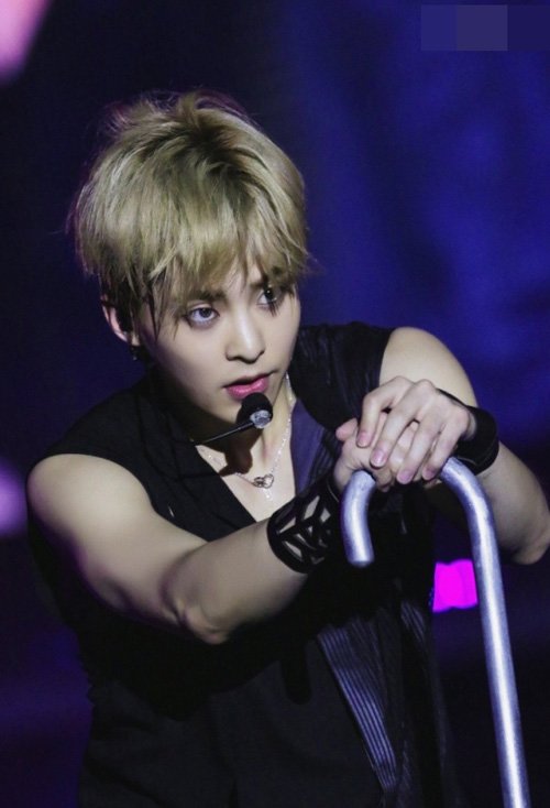 ������˧��̫���۶�ͷ������ͼƬ ��������ϵ�Ķ̷��ų������