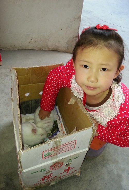 ���̵��ͯ���ӷ�������ͼ�� СŮ�������ɿɰ����Ӳο�ͼ