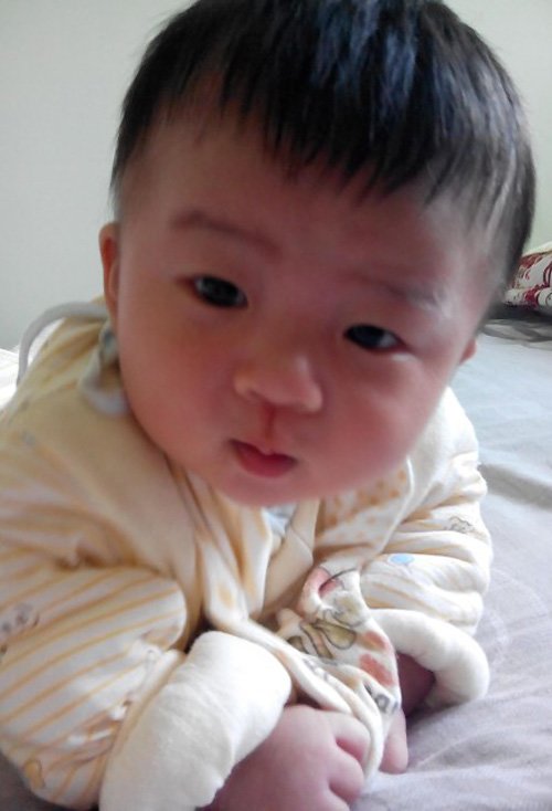 �ĸ����б����̷�����ͼƬ ��Ƥ���˵�С�к��̷����