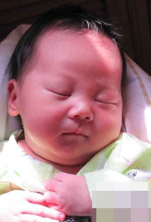 �ĸ����б����̷�����ͼƬ ��Ƥ���˵�С�к��̷����