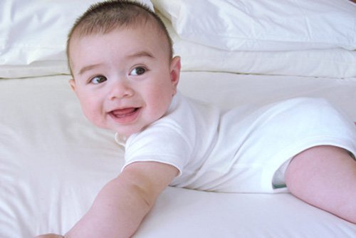 �ĸ����б����̷�����ͼƬ ��Ƥ���˵�С�к��̷����