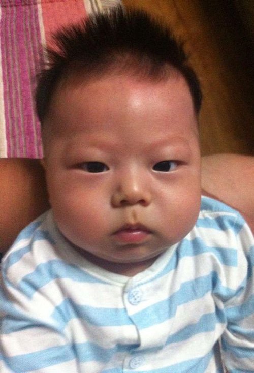 С����ë��ͷ��ͼƬ��ȫ ��Ƥ�ܺ����ʺ����Ķ�ͷ��