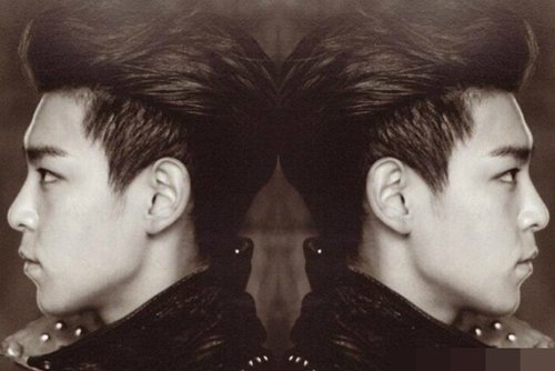 У԰������ɻ�ͷ����ͼƬ ���崿�ȵ�������ͷ������