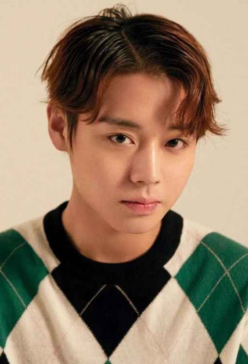 �����ʺϵ���Ȼ�������� ���ȵ͵��������������