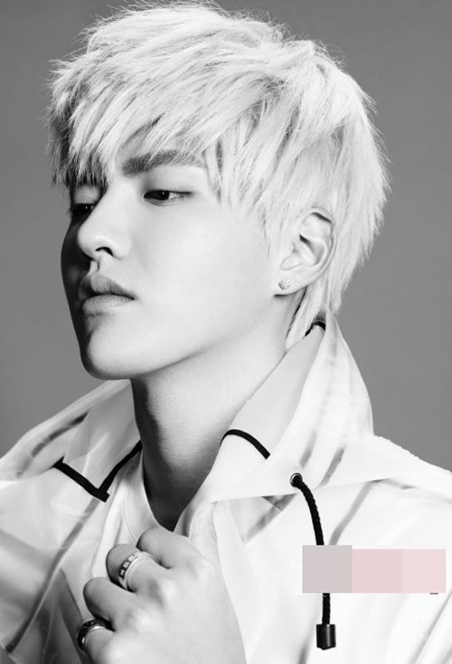 һϮ��ɫͷ���������� ע�뺫ʽ��ʽ��������ͷ�����