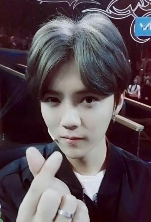 ����Ⱦ����Ԫ��ɫͼƬ���� ��������ģʽȾ�������̵�