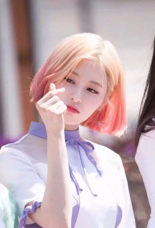 �ж���ͷ�������ĸ����� Ȧ�ڶ��ڸ����Ķ�ͷ��ͼ��