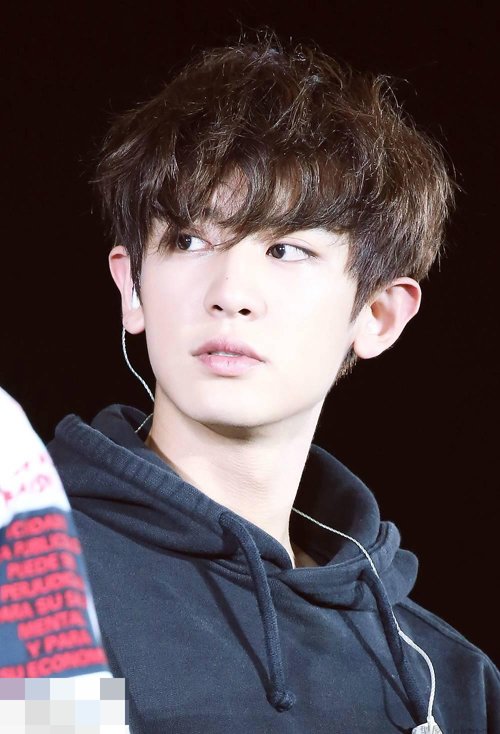 ������ʲô����������С �Ƽ�˧����̶�ͷ��ͼ