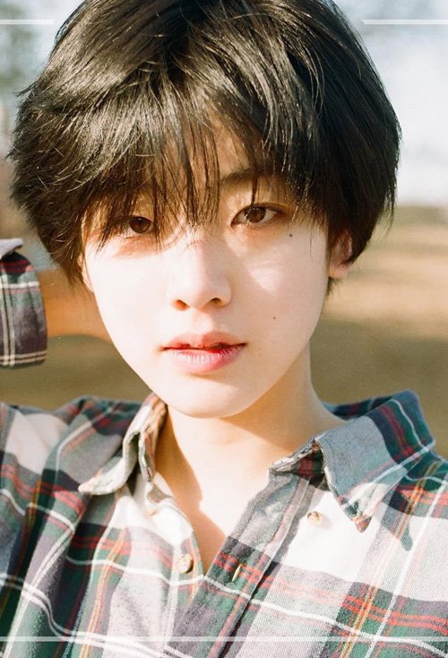 ������Ů���ʺϵĶ̷����� ������Ϣ��Ů���̷�