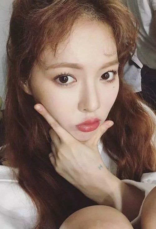 ȧ�Ǹߵ����ʺ���ʲô���� ���˴�����������