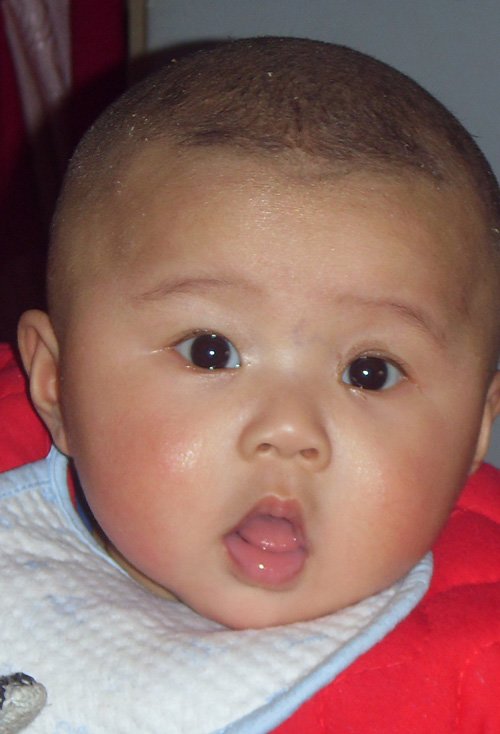 小孩剃小平头发型图片 帅气男童适合的短发造型