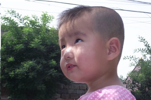 �б���������ͼƬ��ȫ ��ƤС�к��ʺϵĶ�ͷ��