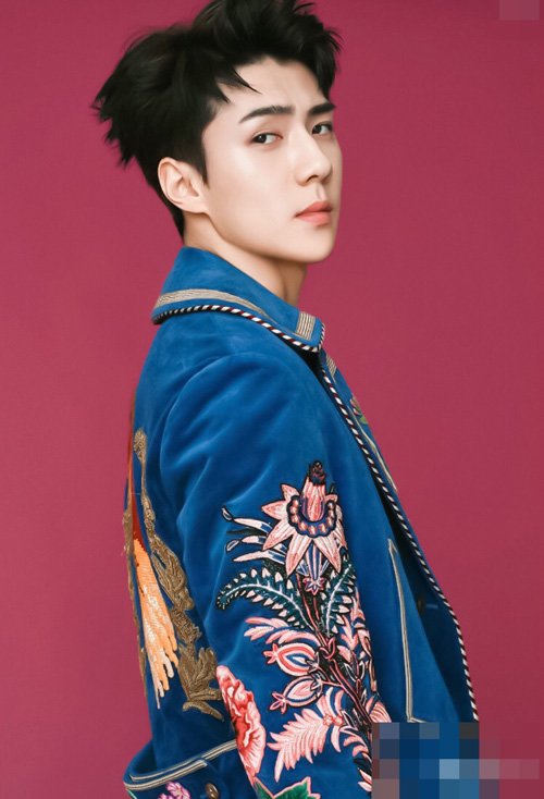 ����ѫ��ɫ���̷����� �����о���Ķ�ͷ������