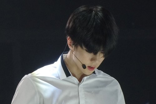 ����ѫ��ɫ���̷����� �����о���Ķ�ͷ������