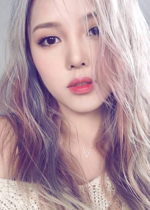 2020������������ɫ���� �԰�Ⱦ�����Ӿ��г�����