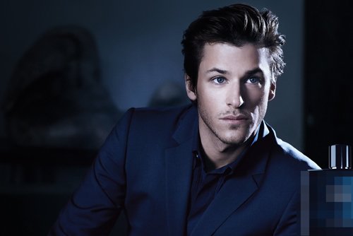 ��ʿ����Ⱦȡʲô��ɫ �������������ɫͼƬ