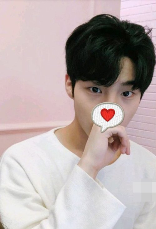 ���������ʺϵİ������� ��ů˧���Ķ�ͷ�����ʹ���