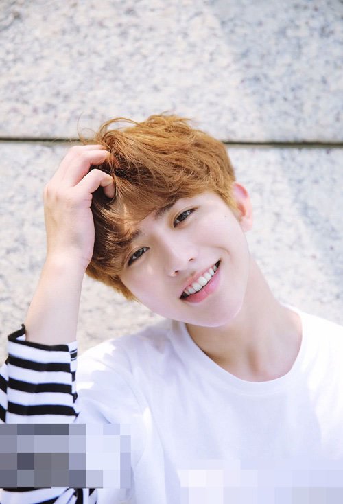 2020��ѧ���̷��������� ����˧������ͷ����