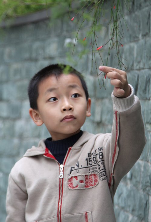 С�к����еĶ̷����� ��Ƥ�ɰ��ĺ��Ӷ̷�ʾ��