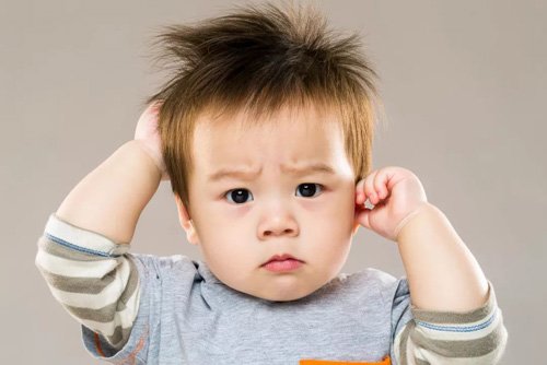 ��ô���������ÿ���ͷ�� ��ζʮ��ĺ��Ӷ�ͷ��