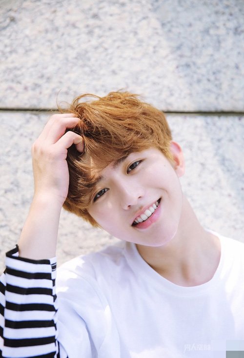 ������Ϊ���ľ������� ����ϲ�����ľ���ȫ��